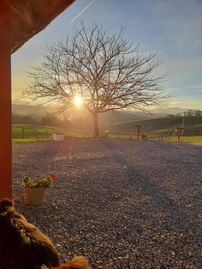 Gite A La Ferme Larranda Suhescun Exteriér fotografie