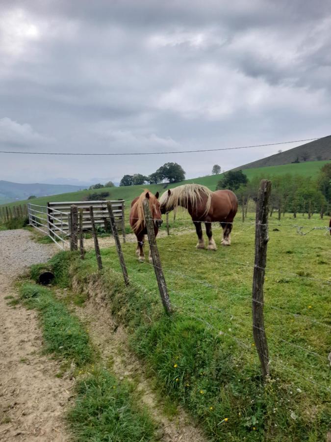 Gite A La Ferme Larranda Suhescun Exteriér fotografie